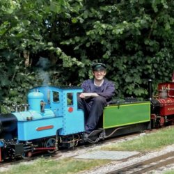 Minature train