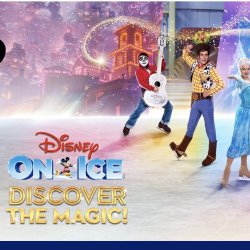 Disney on ice group visit