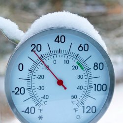 Warum friert der Eisbär nicht? Wärme, Kälte und Isolation (Miniforscher 5-6 Jahre)