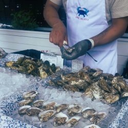 oysters on the avenue