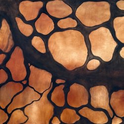 Connected Encounters: Exploring the Land Workshop (Part of the 2026 Geopoetics Gathering)