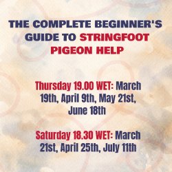 The Complete Beginner's Guide to Stringfoot Pigeon Help