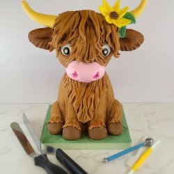 Cake Decorating Workshop - Highland Cow