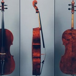Concert Two Spring