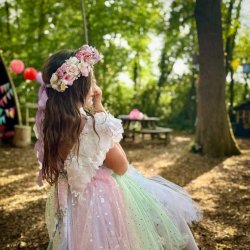 The Fairy Forest Nature Play