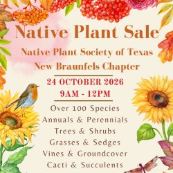 Native Plant Sale