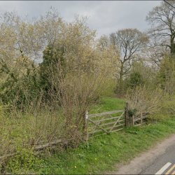 Scything and weeding at Thornton Common