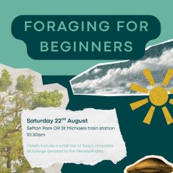 Foraging for Beginners