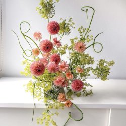 July 19 | Welcome Summer Workshop | Bloom Mirage