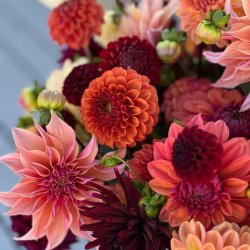 AUG 16 | Flower Design Workshop | Dahlia Party