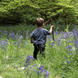 Little Ones in the Woods