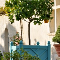 Catering - Festival Dans les Jardins de William Christie