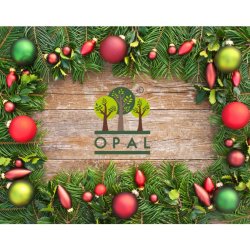 OPAL Christmas Fair & Afternoon Tea