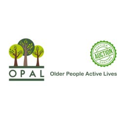 Online Auction