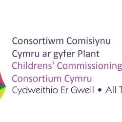 All-Wales Foster Framework Consultation - LA Operational