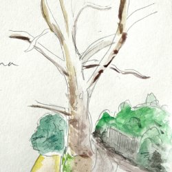 Workshop: Drawing nature with Matt Ponting of Doodling Around