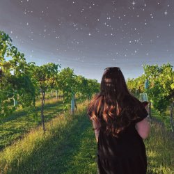 Celestial Sips