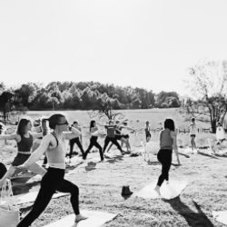 Flow + Forage On The Farm