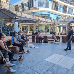 Alumni Workshop - Once a month