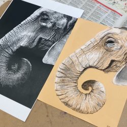 Drawing for the Not So Terrified Beginner