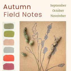 Autumn Field Notes - A Seasonal Creative Practice