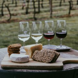 BJC Wine Club - Le Vignoble