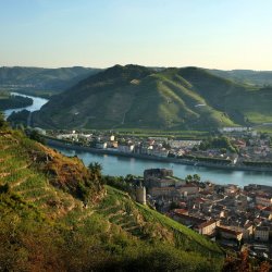 Wine & Dine with the wines of the Northern Rhône with Delas Frères