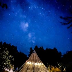 Camping. Earth Kin Summer Solstice.