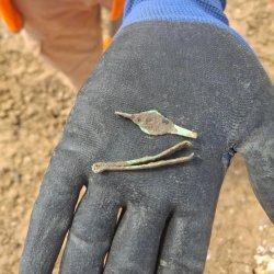 Gloved hand holding two archaeological finds