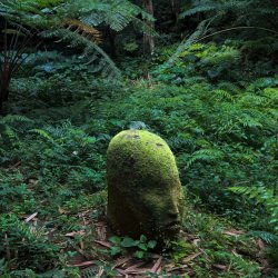 Workshop: Rammed Earth - A Bio-Sculpture with Arran Gregory