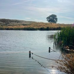 Wild Water & Hearth Gathering