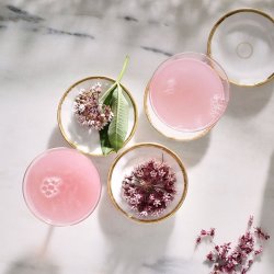 Wild Mixology with Laura Chávez Silverman