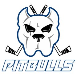 Guildford Flames v Bristol Pitbulls