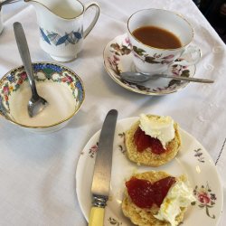 Cream Tea at the Panacea
