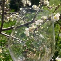 In the garden – Sommelier hosted seasonal supper with paired wine tasting