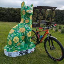 Lang Toun summer trails - Connecting Wemyss Ware Cats cycle
