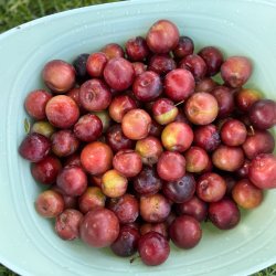 How to make Fruit Cordial