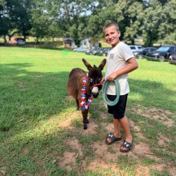 🧺🌻 Farm Picnic Night at Donkey River Farm 🐴