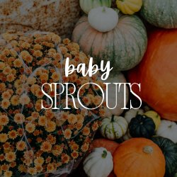 October - Baby Sprouts (Ages 1-2)