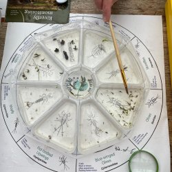 Image of the sampling tray, photo by Róisín Calvert-Elliott