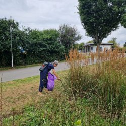 Central Park Litter Picks