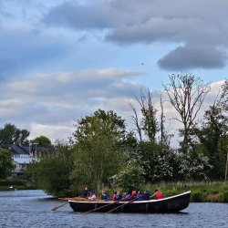 Rowers out on a Sunny Day on the Lake