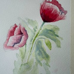 Watercolour class