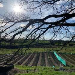 Volunteering Sessions at Laurelbank Farm - 2026