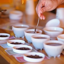 Coffee Cupping