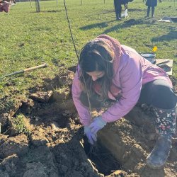 Farah's Farm - Tree Planting Activity