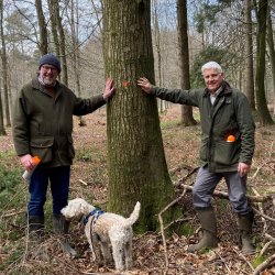 English Woodlands Timber Open Day