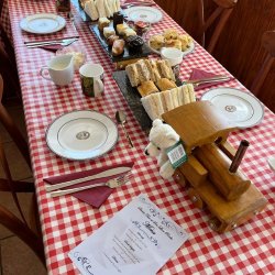 Steam Teas 2026