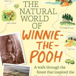 Celebrating a Literary Treasure: Winnie-the-Pooh at 100