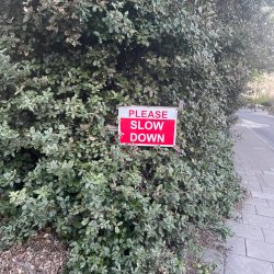 A sign asking you to slow down